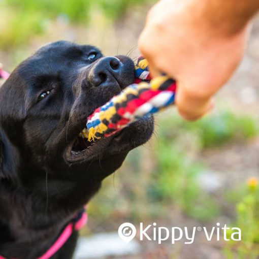 Tug of war