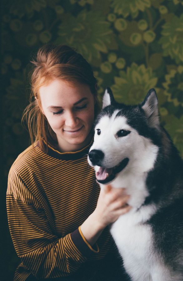 Cani da allerta per diabetici: cosa fanno