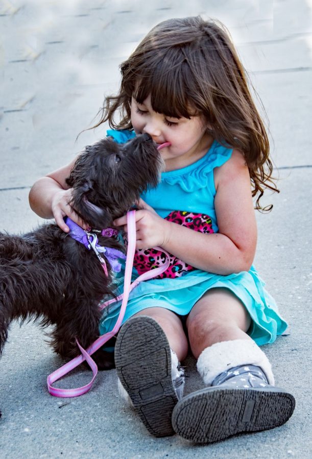 Cani per bambini diabetici