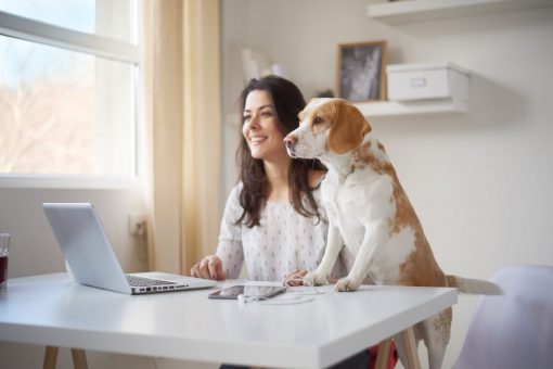 Bring your dog to work day 2019