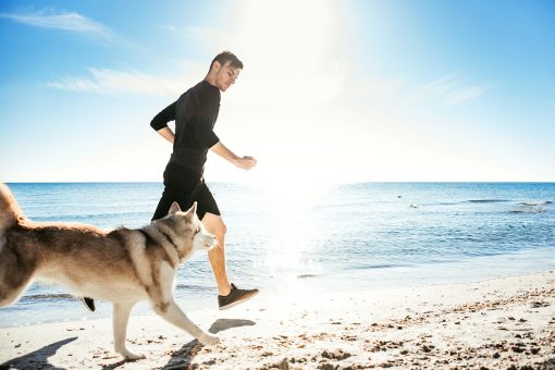 perro corriendo en la playa