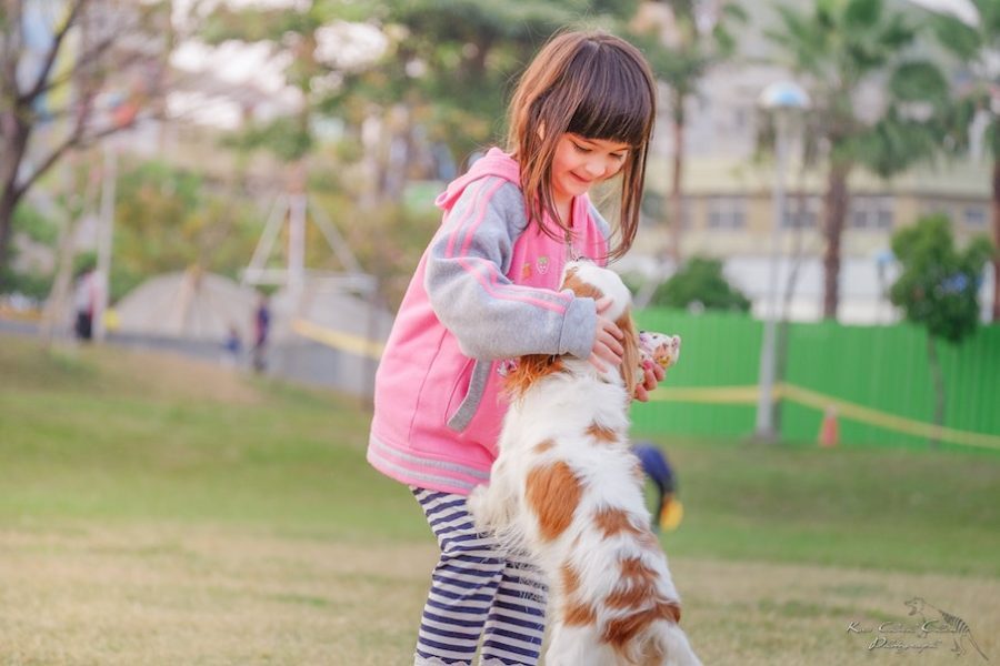 Garrapatas en los perros