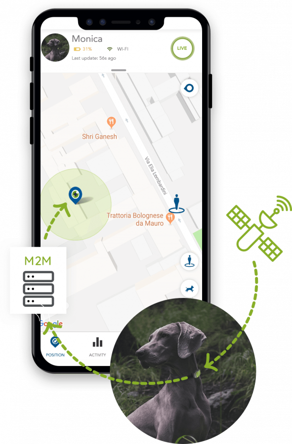 Accessoires GPS pour chiens