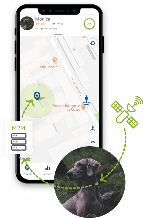 1 Diferencias entre rastreadores GPS y Bluetooth