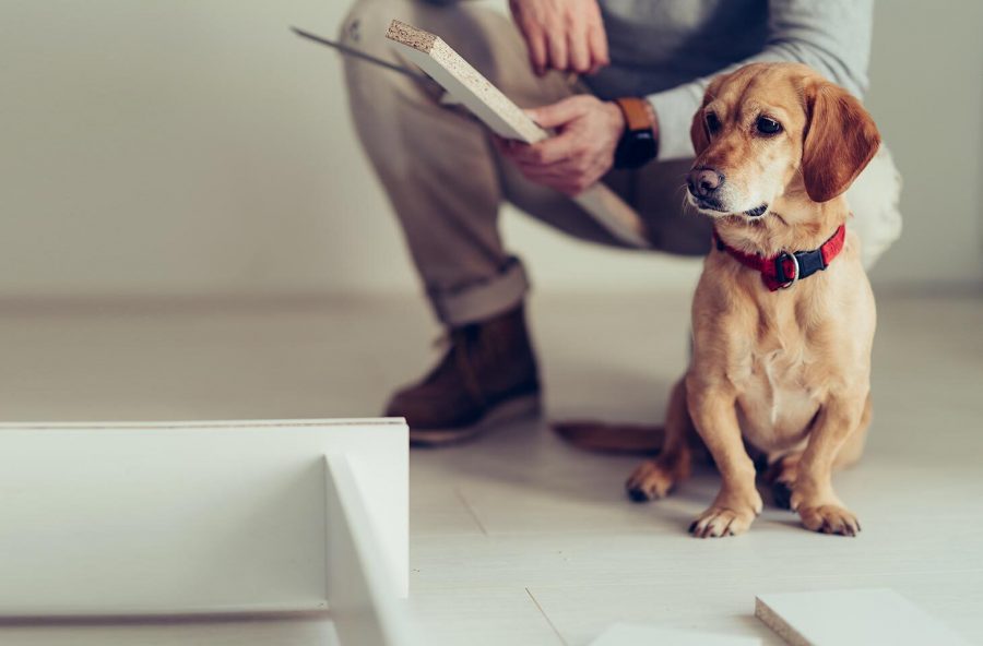 Wie man eine Hundehütte baut   