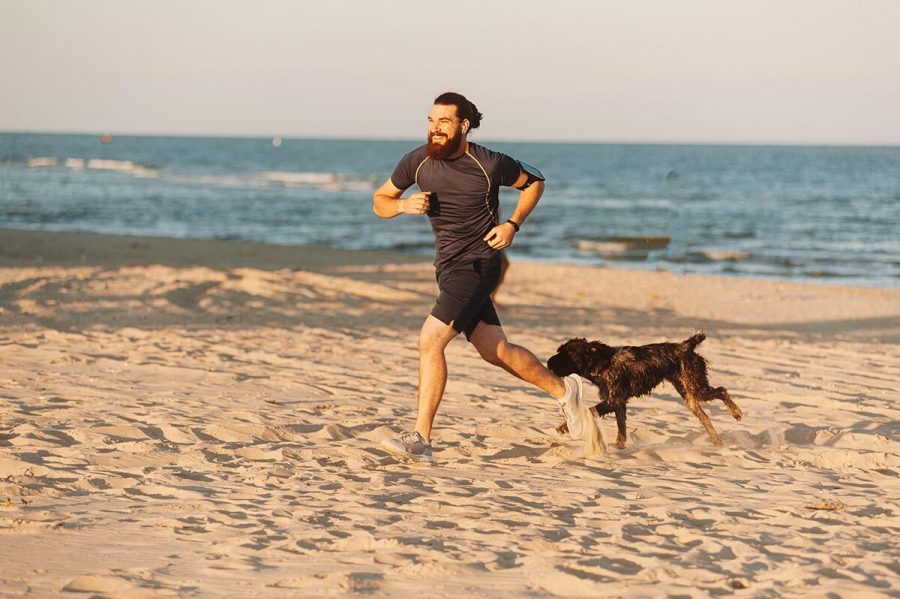 how to run with your dog