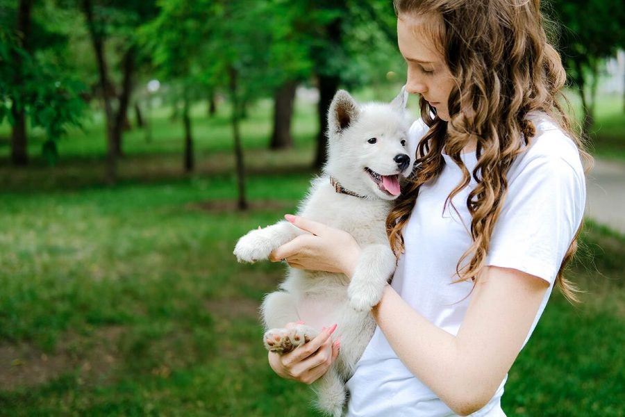 Que faire avec un chiot âgé de deux mois ?