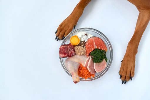 paw-dog-food