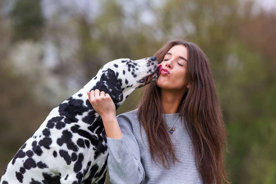 Was bedeutet es, wenn der Hund Sie ableckt  