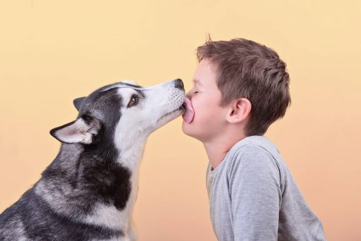 dog-kiss-child