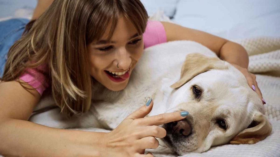 Cosa significa se il mio cane ha il naso asciutto?