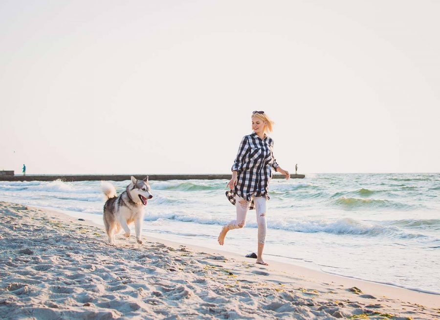 1 Mon chien et moi à la plage