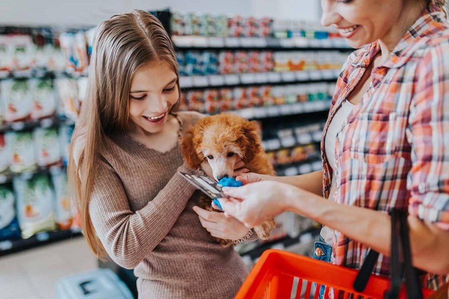 Cosa comprare per un cane