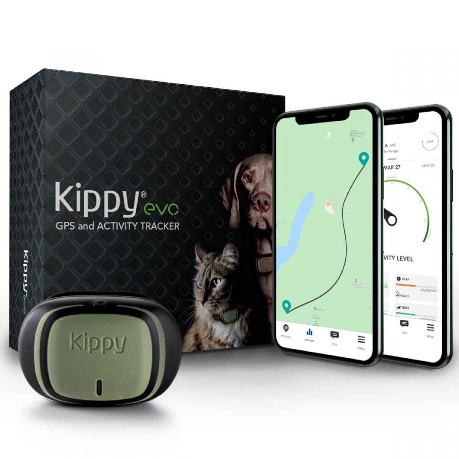 El localizador GPS para perros