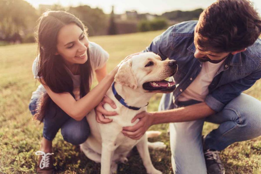 Le 10 razze di cane più affettuose