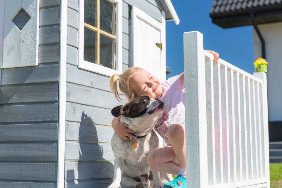 Perros de talla mediana adecuados para tener junto a niños