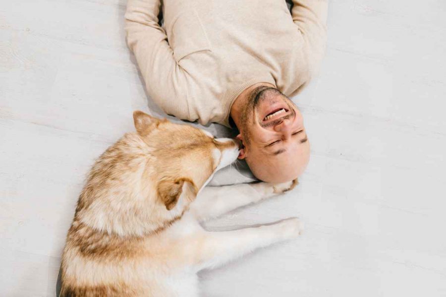 ¿Cuál es la relación entre mascotas y oxitocina?