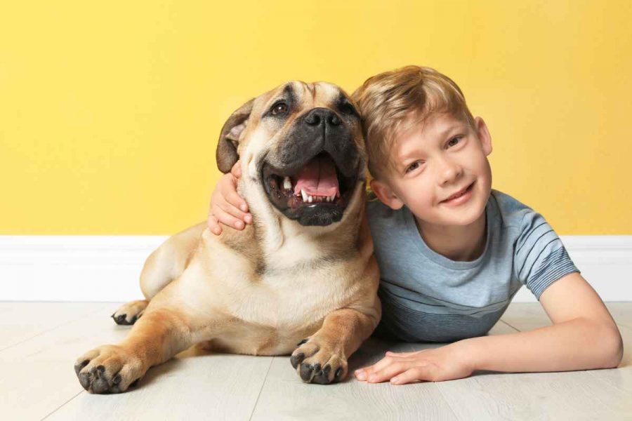 Hunde für Kinder geeignet