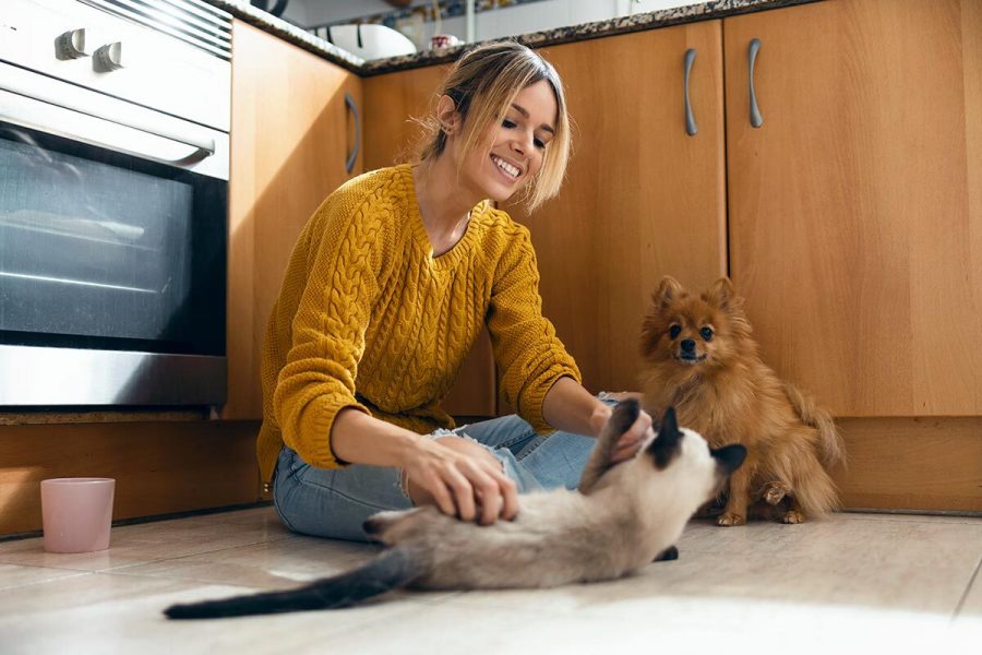 1 Pets and oxytocin, their connection