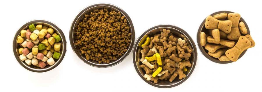 Best dry food for dogs