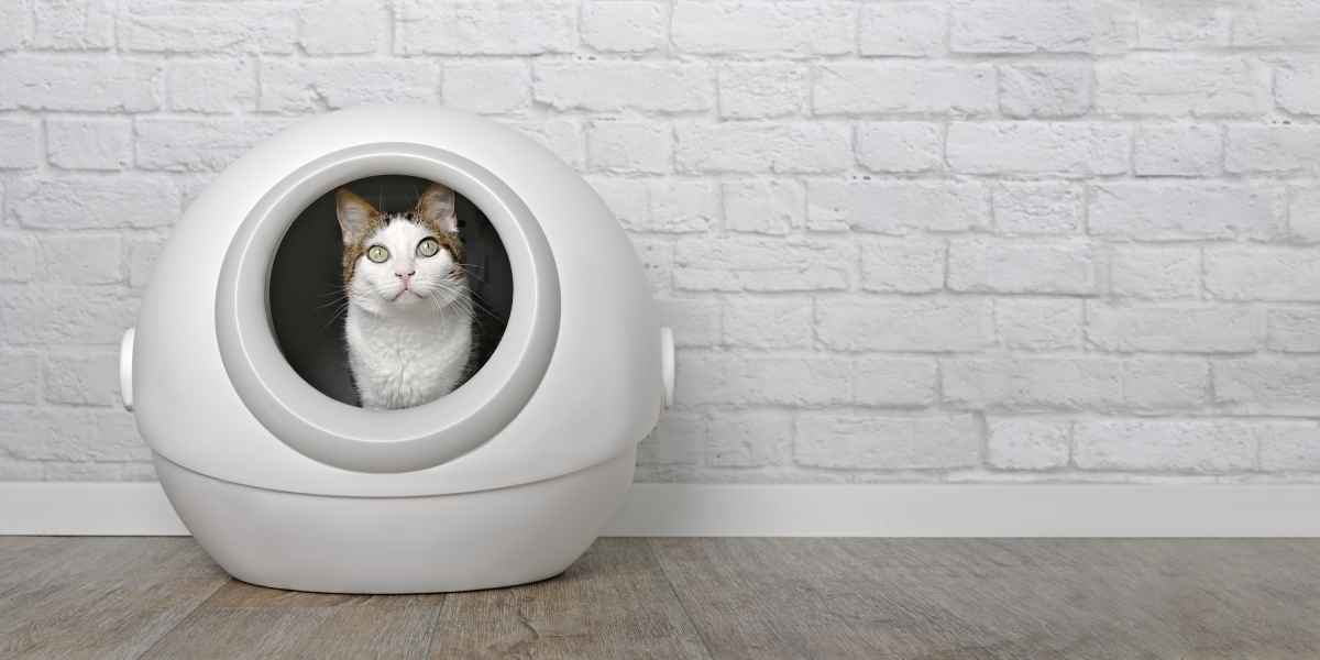 50 igliori lettiera per gatti autopulente nel 2022 (recensioni, opinioni, prezzi