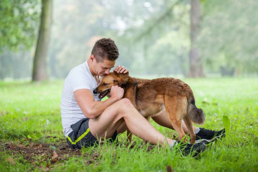 Le pulci del cane si attaccano all’uomo?