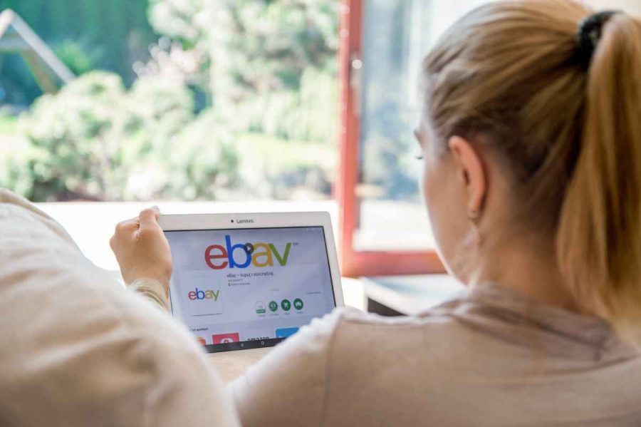 eBay colliers pour chiens par satellite