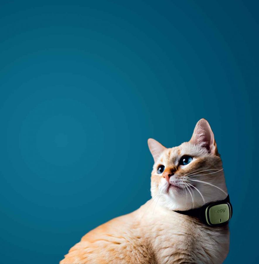 iPhone 13 GPS Cat Collar 