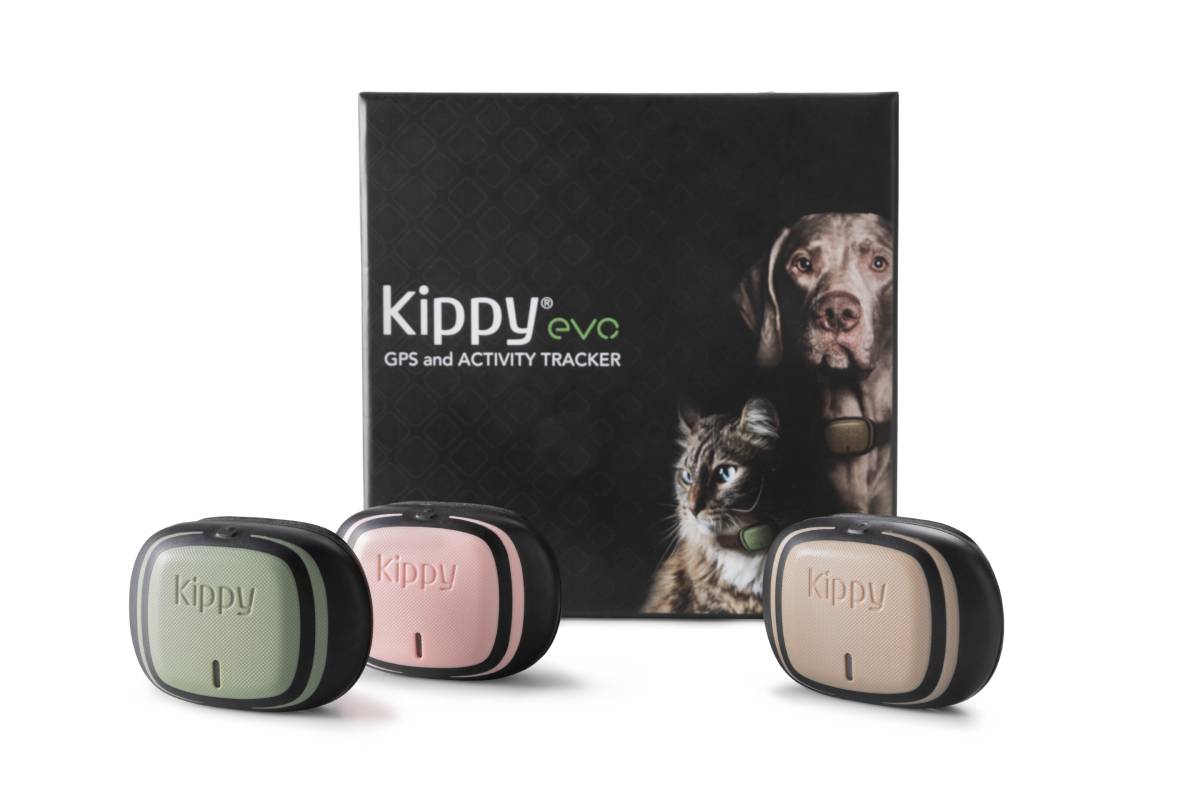 kippy dog tracker
