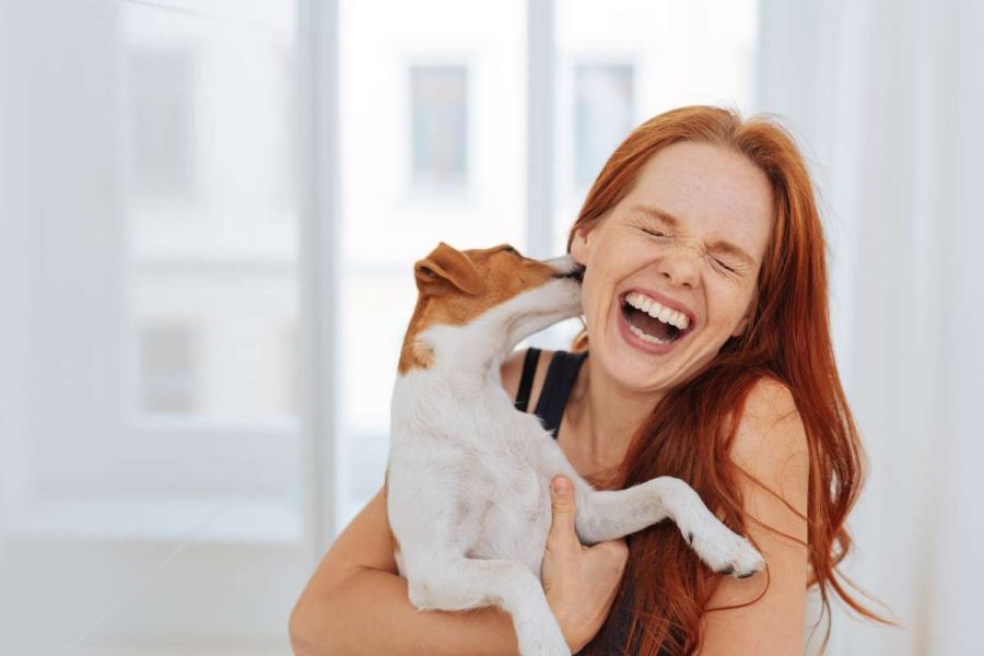 What are the benefits of having a pet?