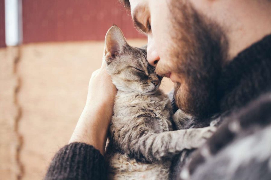 1 What are the benefits of having a pet?