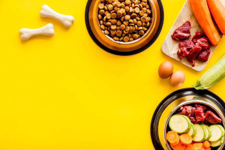 Image of 2 bowls for cats, one containing kibble and the other containing zucchini, carrots, and meat. Then, next to them, there's a cutting board with peeled carrots and pieces of red meat.