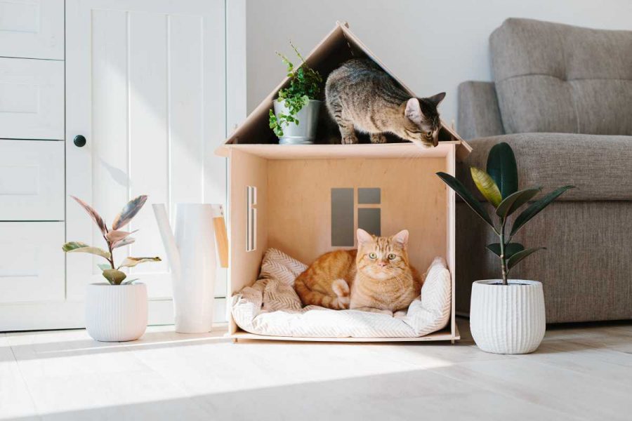 Two cats sat in a wooden cat house next to a sofa